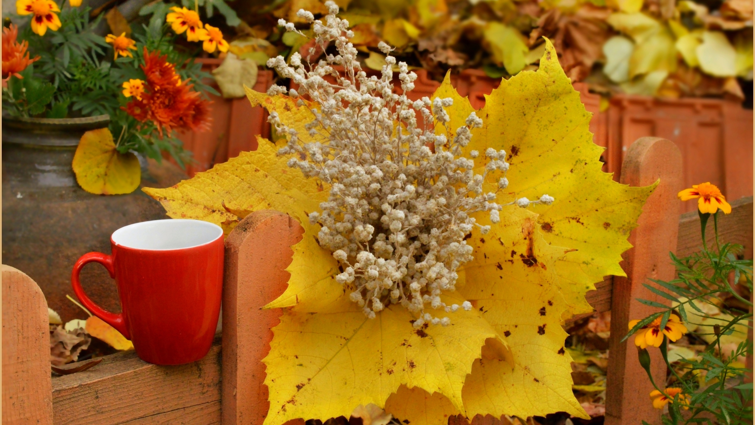 чашка, осень, листья