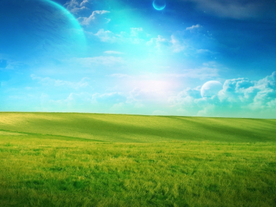 поле, трава зелёная, лето, небо