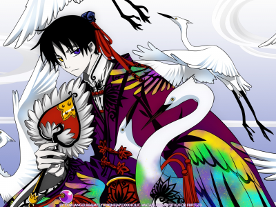 xxxholic, аниме