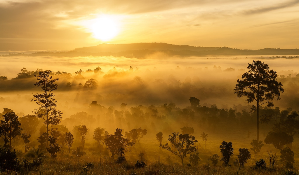 пейзаж, природа, красота, закат