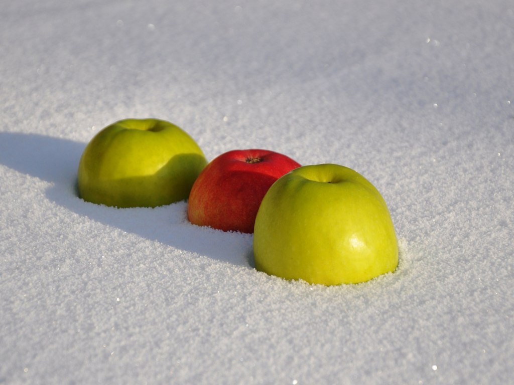 яблоки, фрукты, в снегу