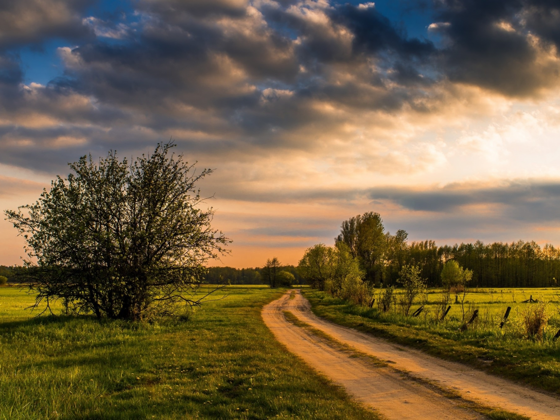 пейзаж, природа, красота