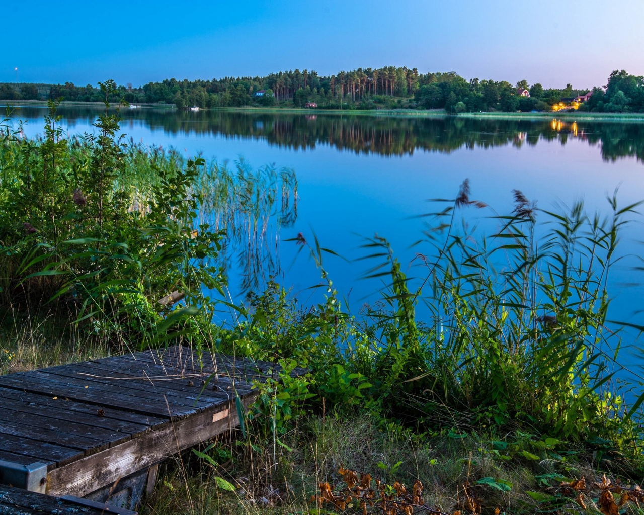 пейзаж, природа, красота