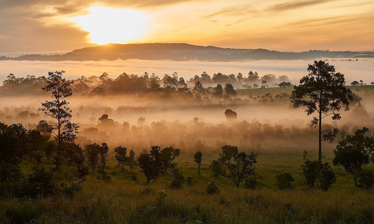 пейзаж, природа, красота, закат