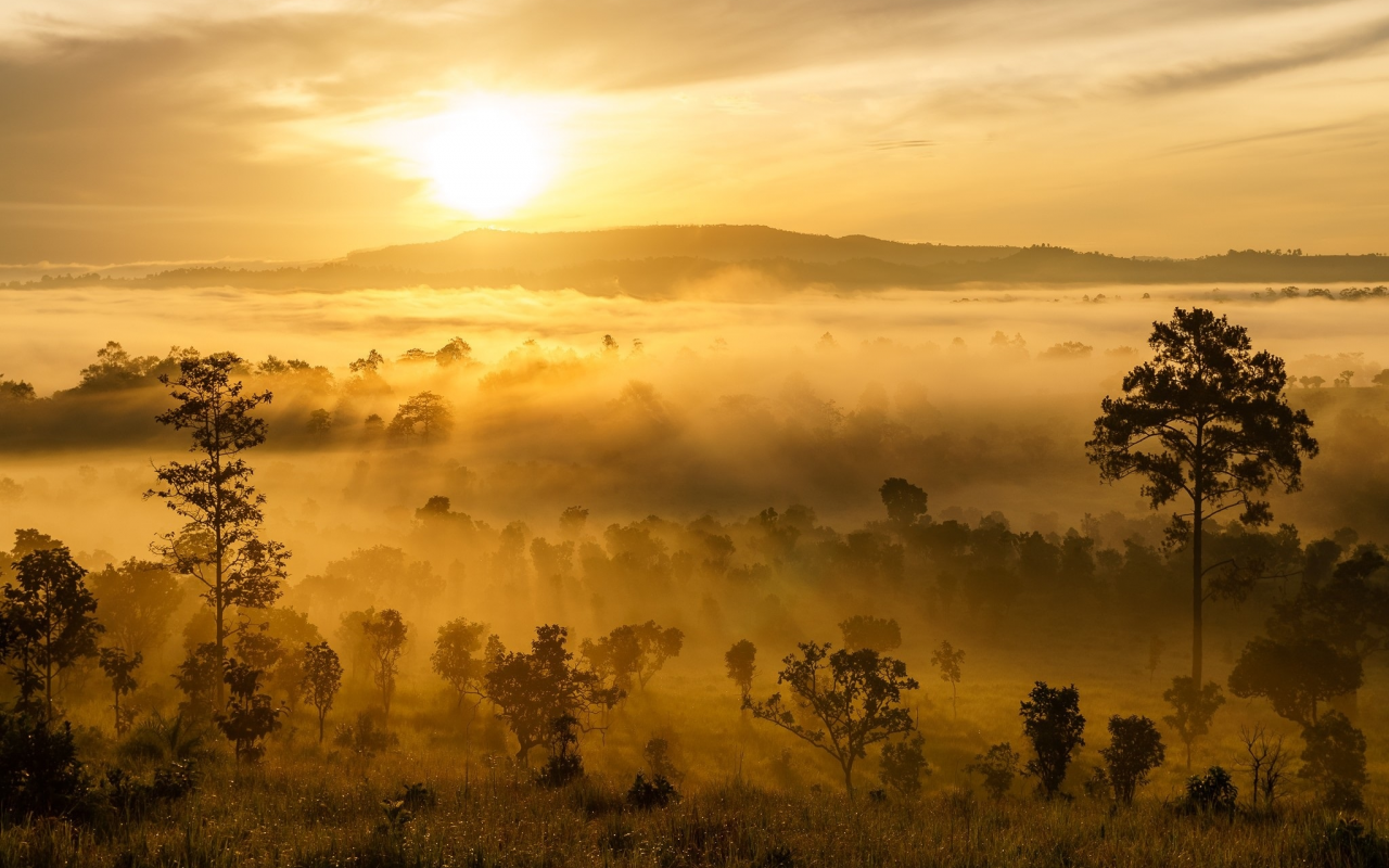 пейзаж, природа, красота, закат