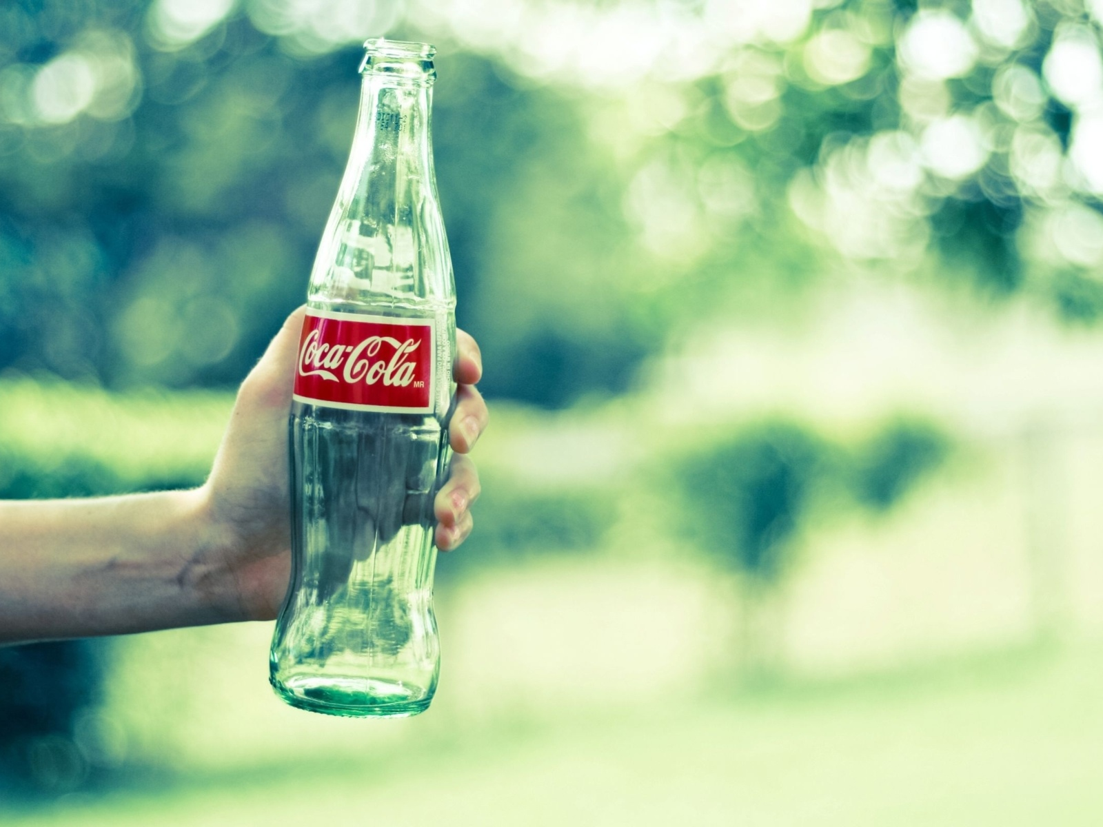 бутылка coca cola, в руке, пустая