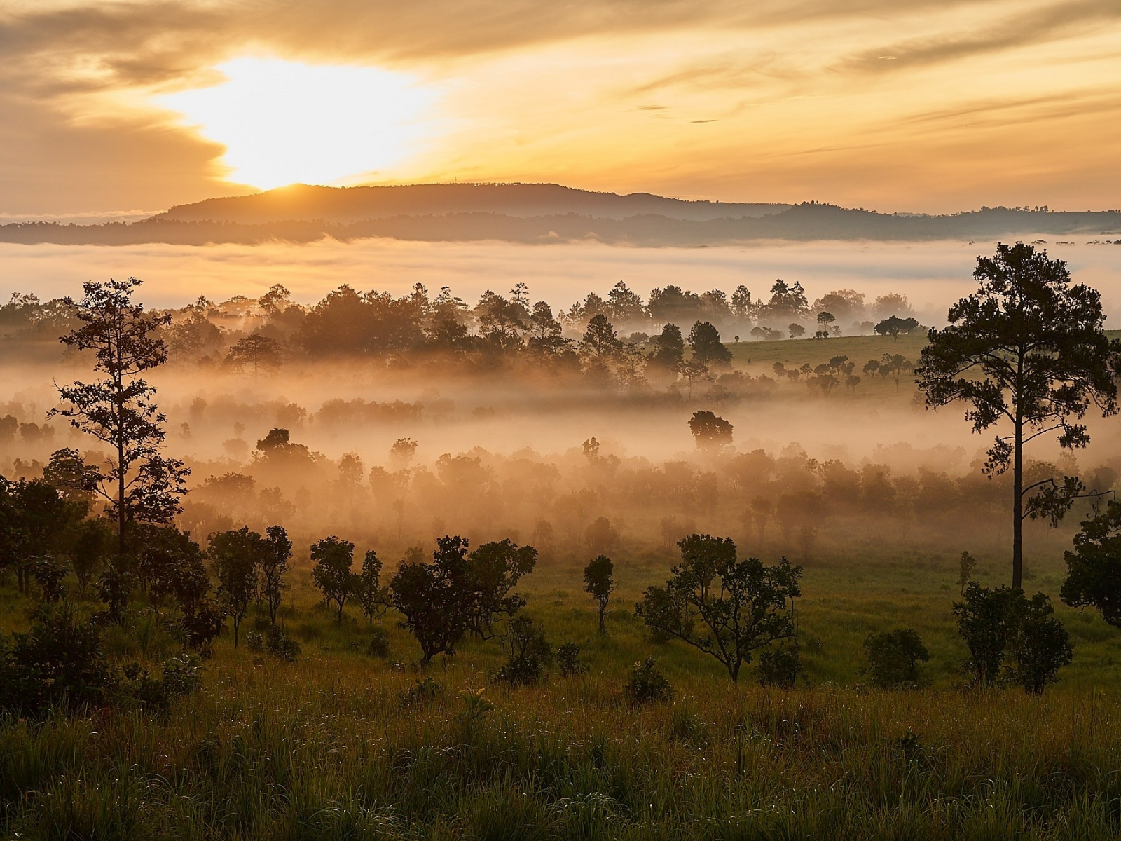 пейзаж, природа, красота, закат