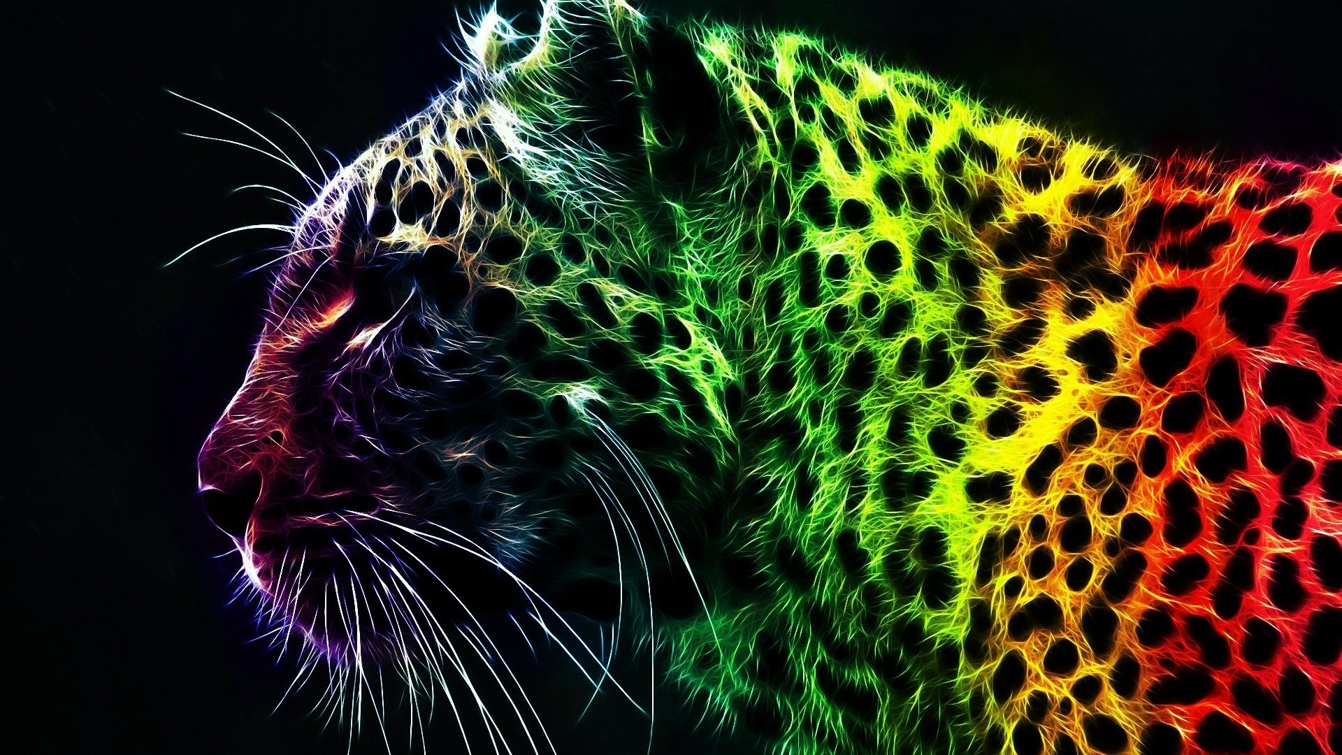 леопард, оскал, хищник