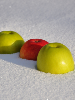 яблоки, фрукты, в снегу