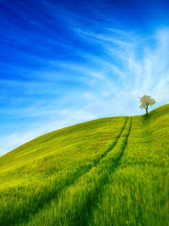 пейзаж, холм, трава, дерево, небо