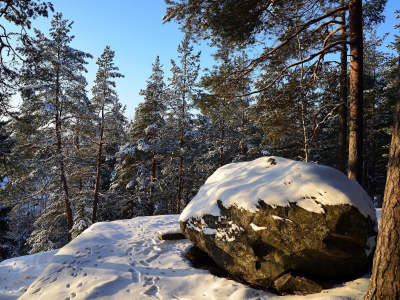 пейзаж, природа, красота