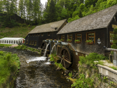 пейзаж, природа, красота