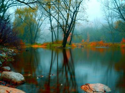 озеро цветное, деревья