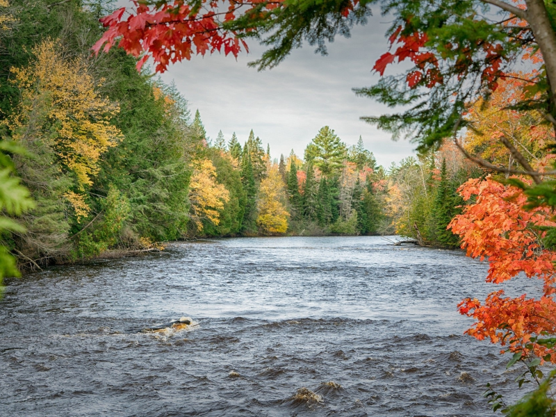 пейзаж, природа, красота