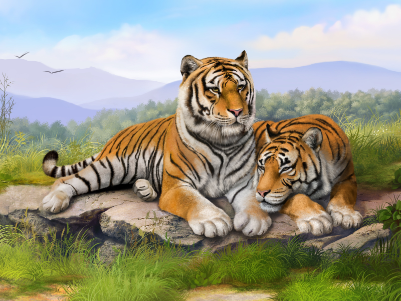 животные, тигр, тигрица