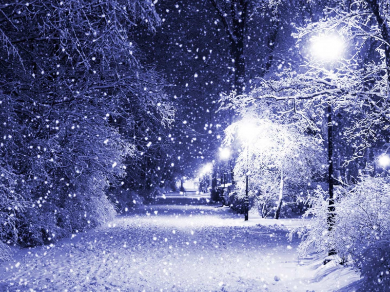 парк, ночь, зима, снег