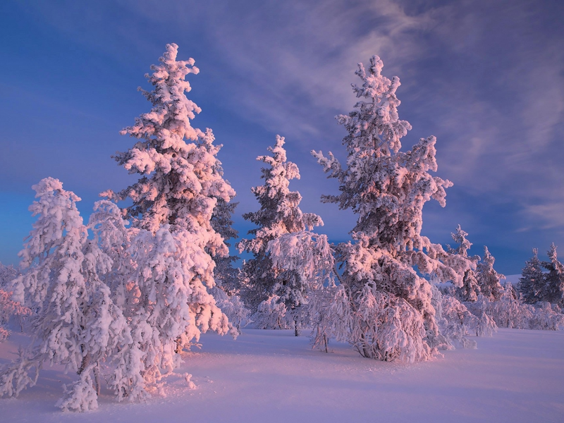 пейзаж, природа, красота