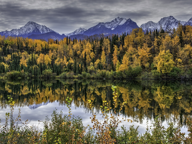 пейзаж, природа, красота