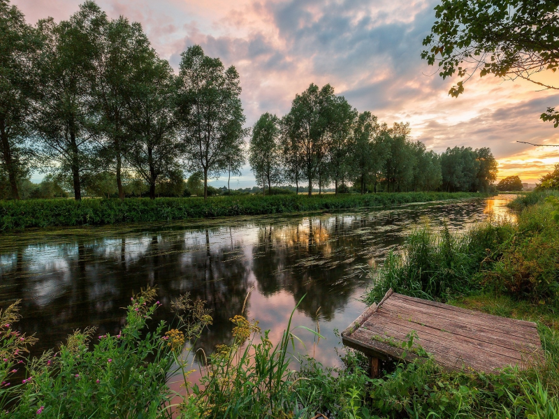 пейзаж, природа, красота