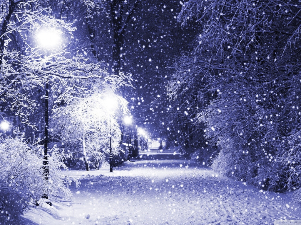 пейзаж, зима, снег, парк, фонарь, аллея