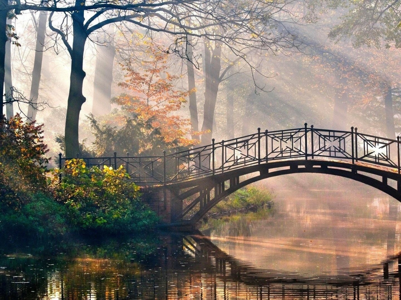 природа, осень, деревья, листья, мост, река, парк