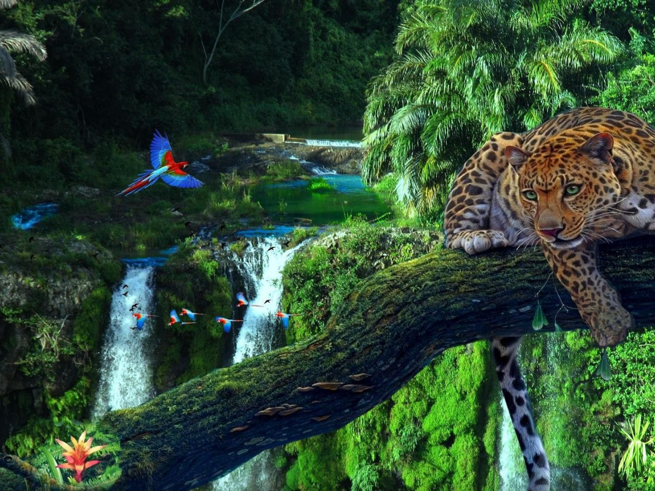 леопард, хищник, в джунглях