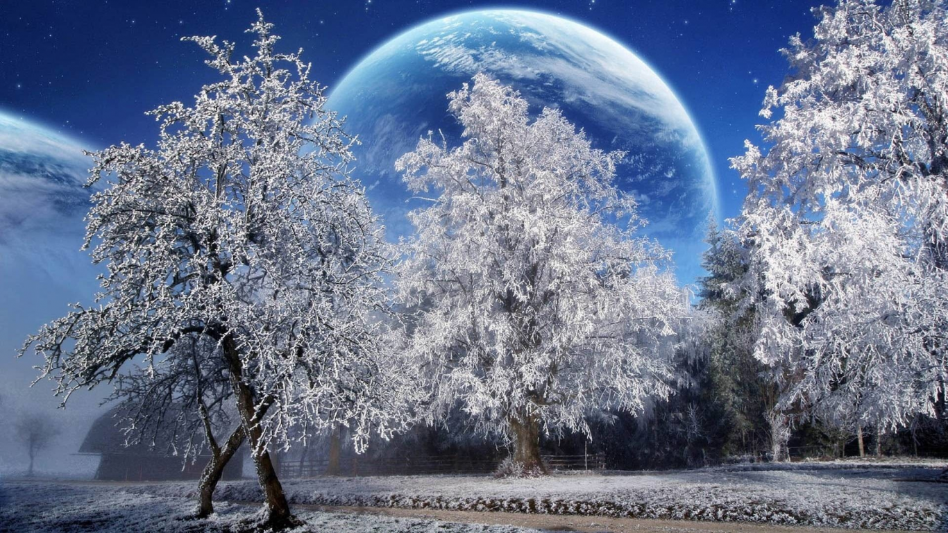 зима, снег, деревья, планета