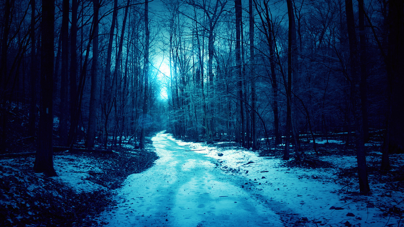 лес, зима, дорога