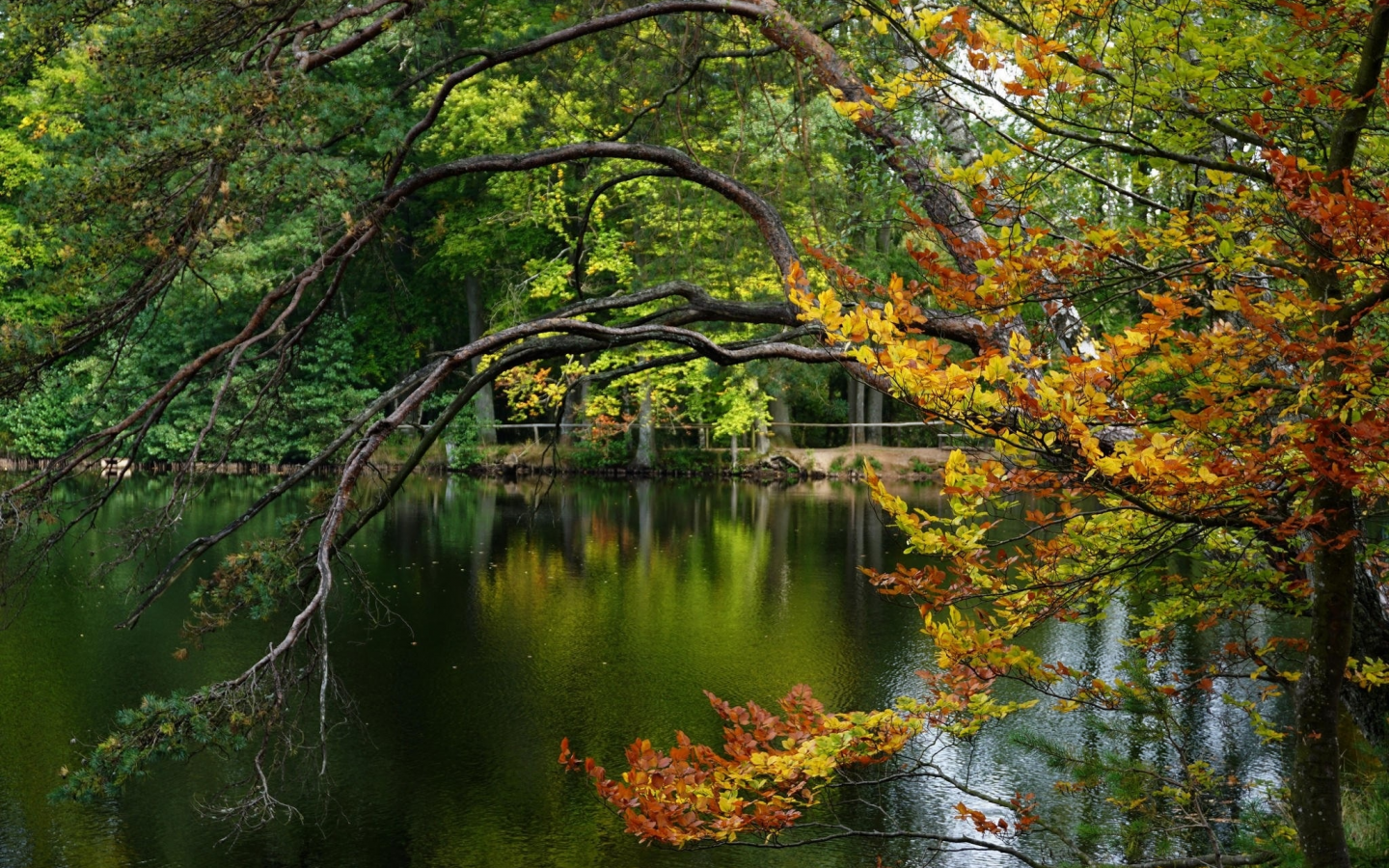 пейзаж, природа, красота