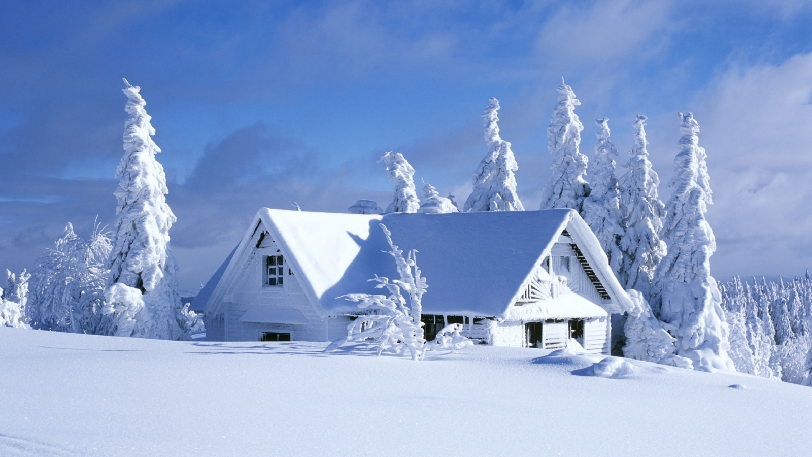 зима, снег, дом, домик, ель