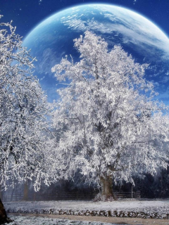 зима, снег, деревья, планета