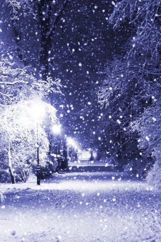 пейзаж, зима, снег, парк, фонарь, аллея