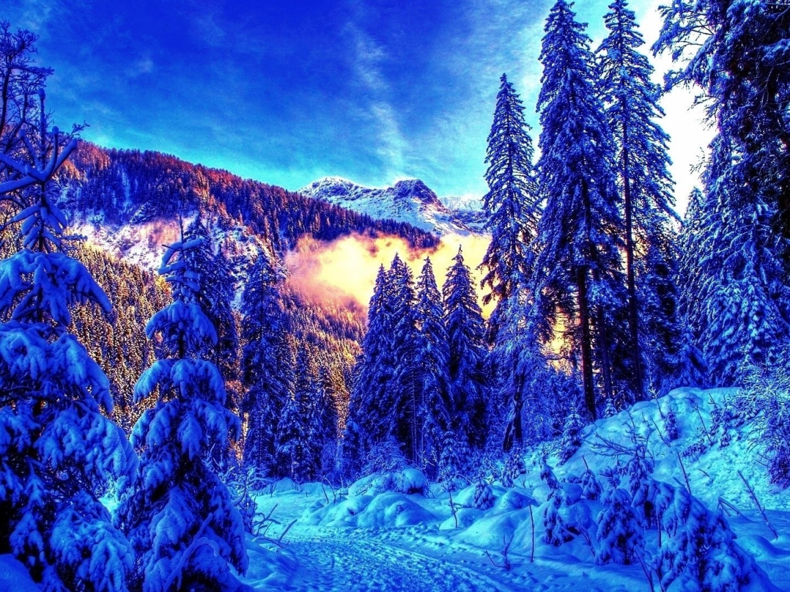природа, лес, горы, снег, ели