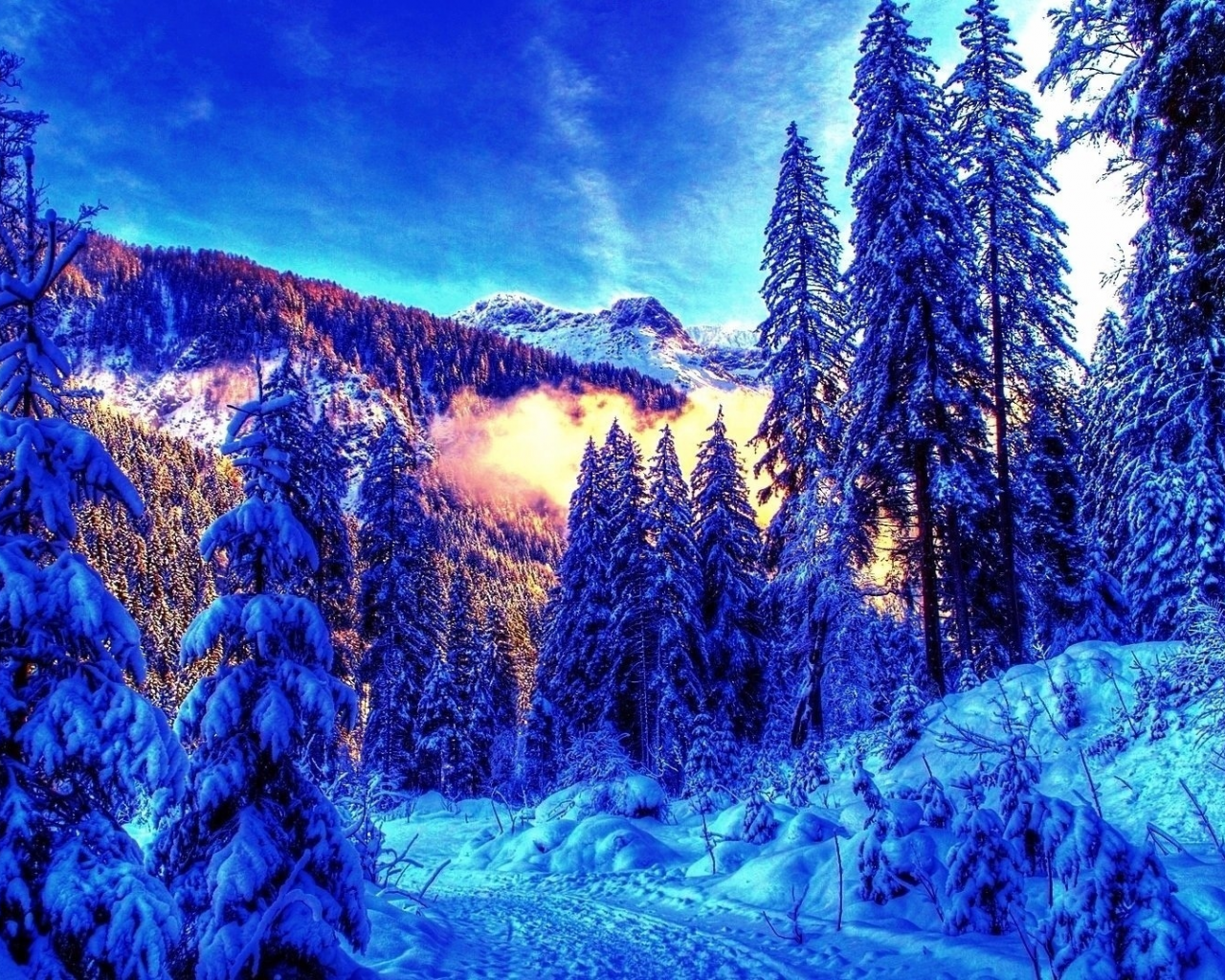 природа, лес, горы, снег, ели