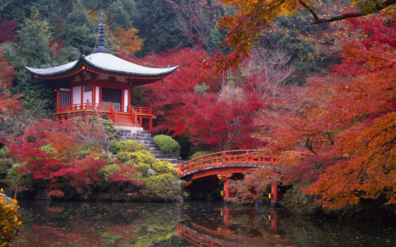 киото, япония, сад