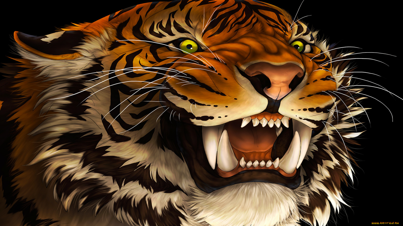 тигр, хищник, кошка, рисунок