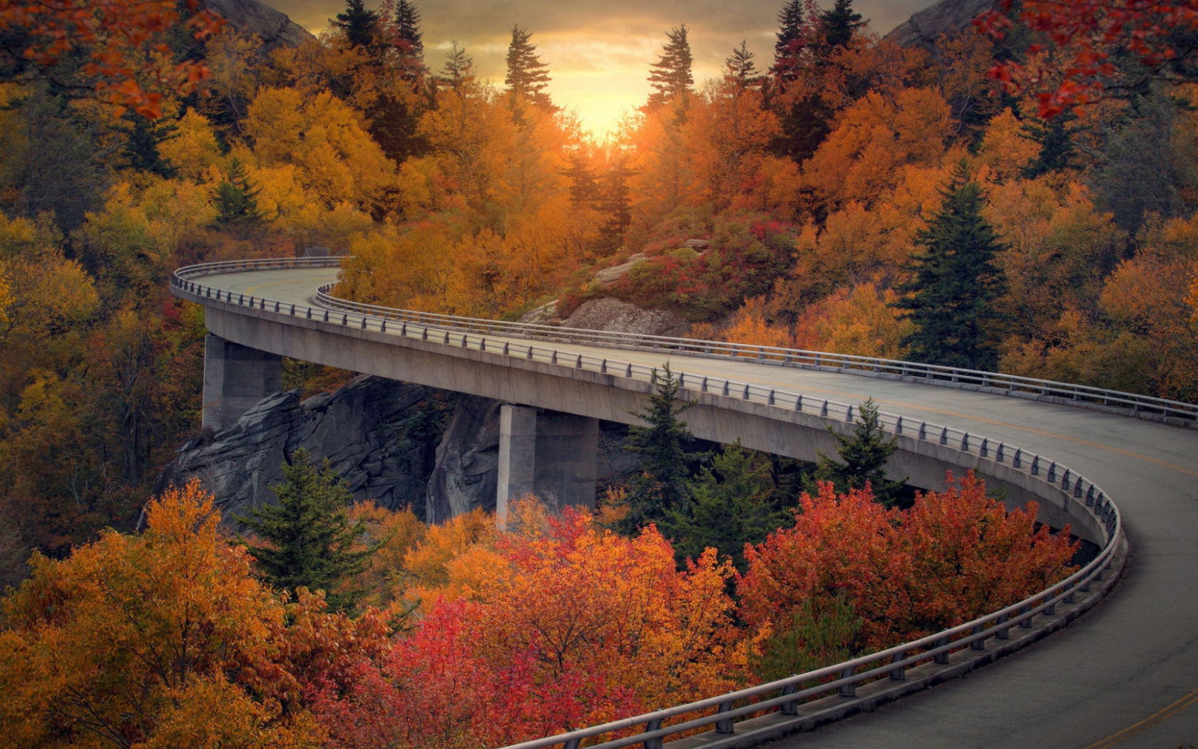 дорога, деревья, осень, листопад