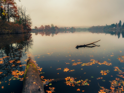 озеро, осень