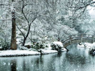парк, зима, река, деревья