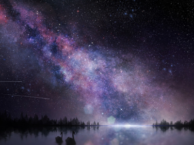 ночь, озеро, звездное небо, звёзды, лебеди