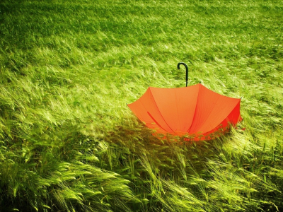 трава зелёная, зонт лежит