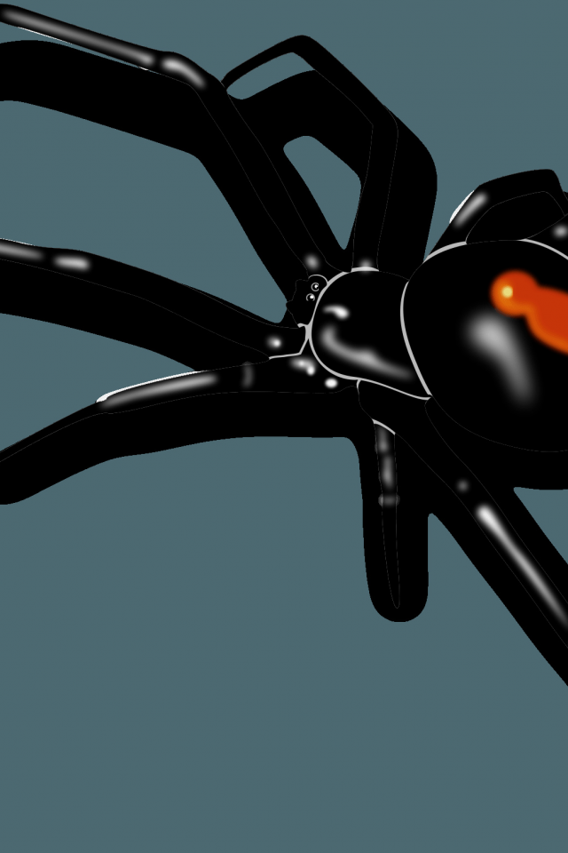 паук, чёрная вдова