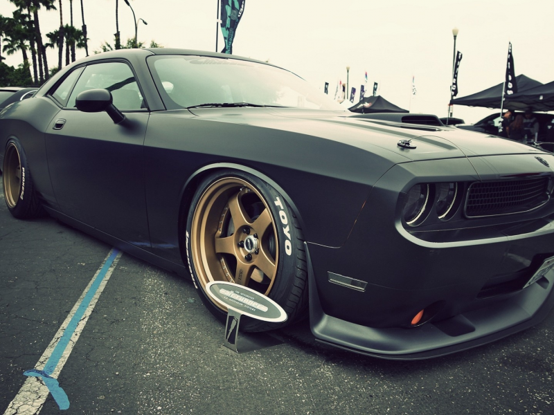 auto, dodge challenger