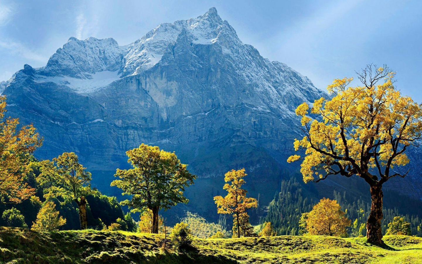 пейзаж, горы, деревья, австрия, austria