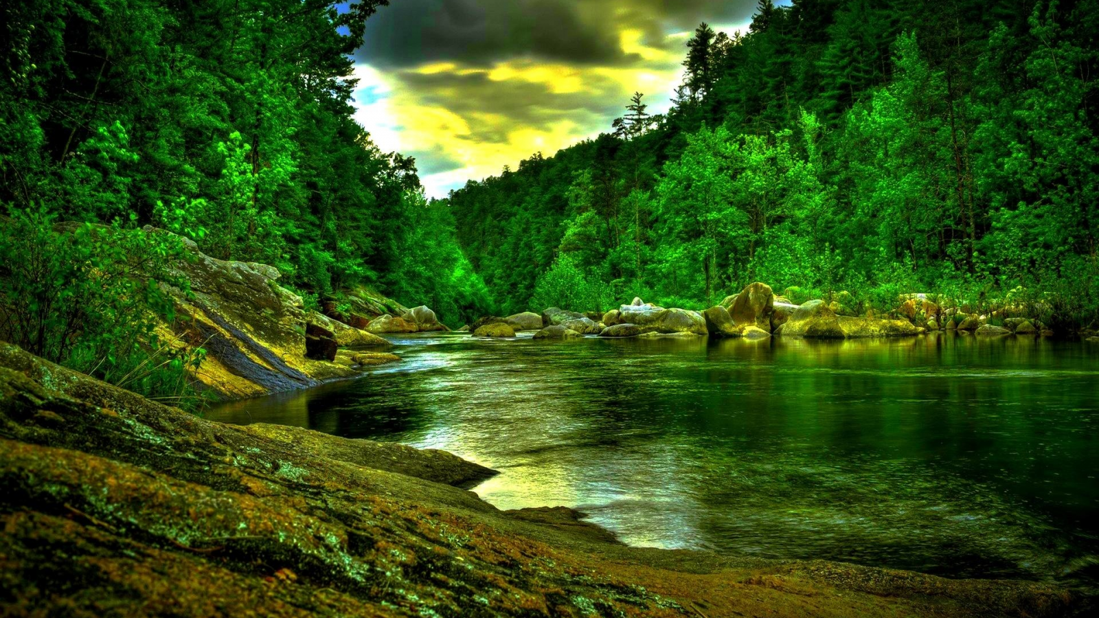 природа, лес, река