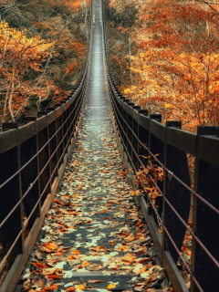 настроение, осень, мостик, листья