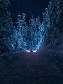 природа, лес, зима, дорога, ночь, автомобиль