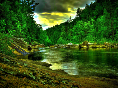 природа, лес, река