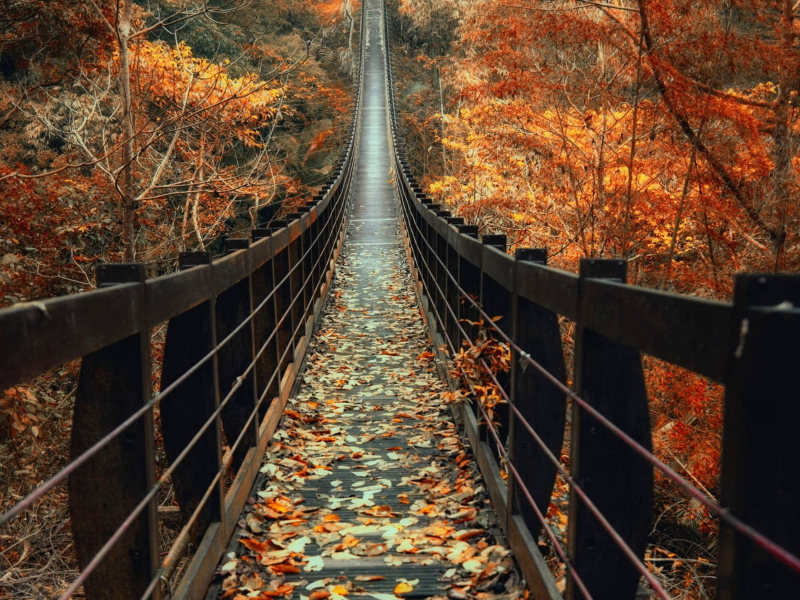 настроение, осень, мостик, листья