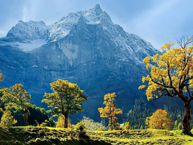 пейзаж, горы, деревья, австрия, austria